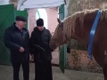 18 февраля 2024 г. епископ Силуан посетил Починковский конный завод