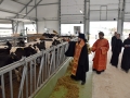 31 мая 2016 г. состоялось освящение животноводческого комплекса агрофирмы "Мяском" в селе Красная Лука