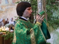 9 июня 2014 г., в день Святого Духа, Преосвященнейший Силуан совершил Божественную литургию в Свято-Троицком Макарьевском Желтоводском монастыре.