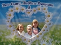 7 июля 2017 года в РДК г. Лысково прошло праздничное мероприятие, посвященное Всероссийскому дню «Семьи, Любви и Верности».